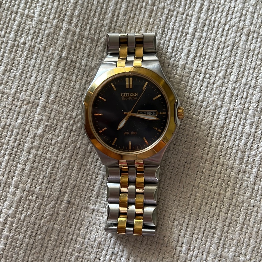 Citizen Eco-Drive WR 100 Womens
